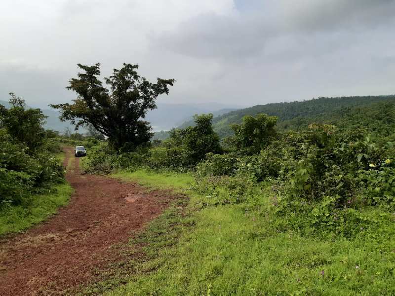 500 Acre Industrial Land / Plot for Sale in Mhasla, Raigad
