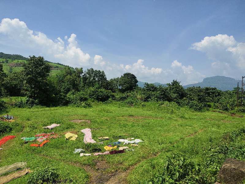 50 Acre Agricultural/Farm Land for Sale in Mahad, Raigad