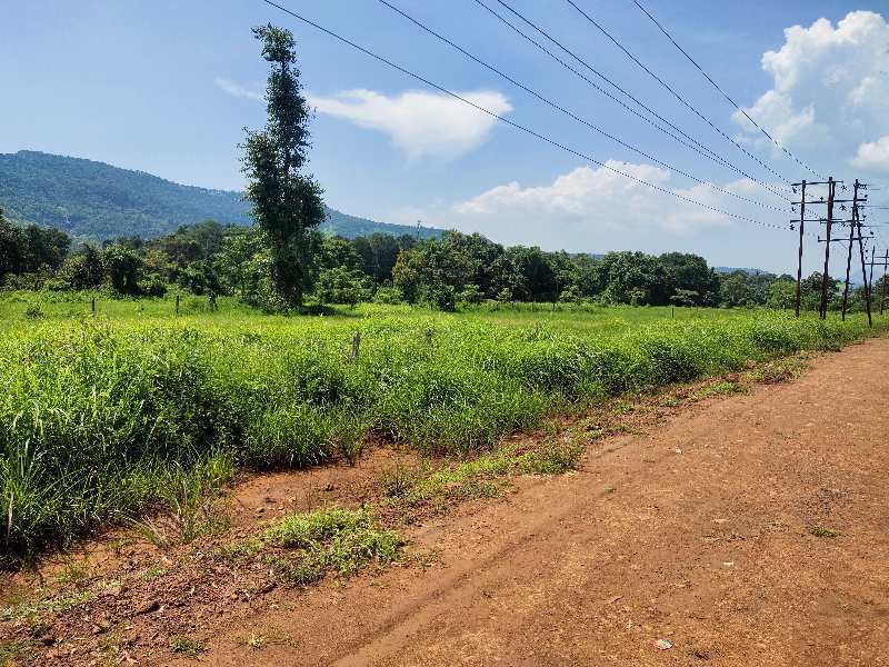 22 Guntha Commercial Lands /Inst. Land for Sale in Mahad, Raigad