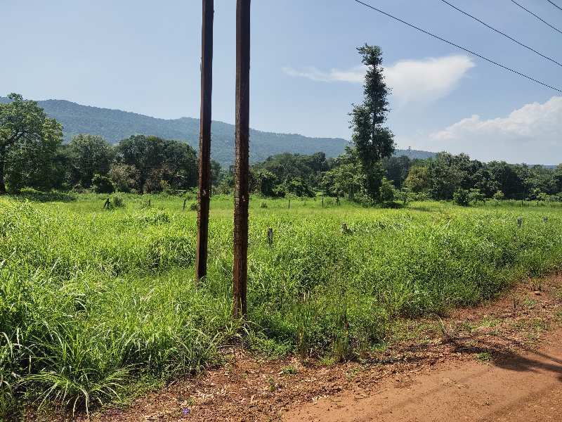 22 Guntha Commercial Lands /Inst. Land for Sale in Mahad, Raigad