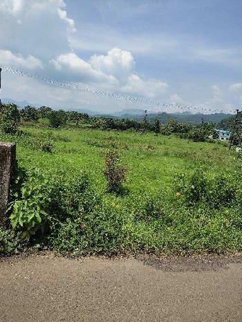 42 Guntha Commercial Lands /Inst. Land for Sale in Mahad, Raigad