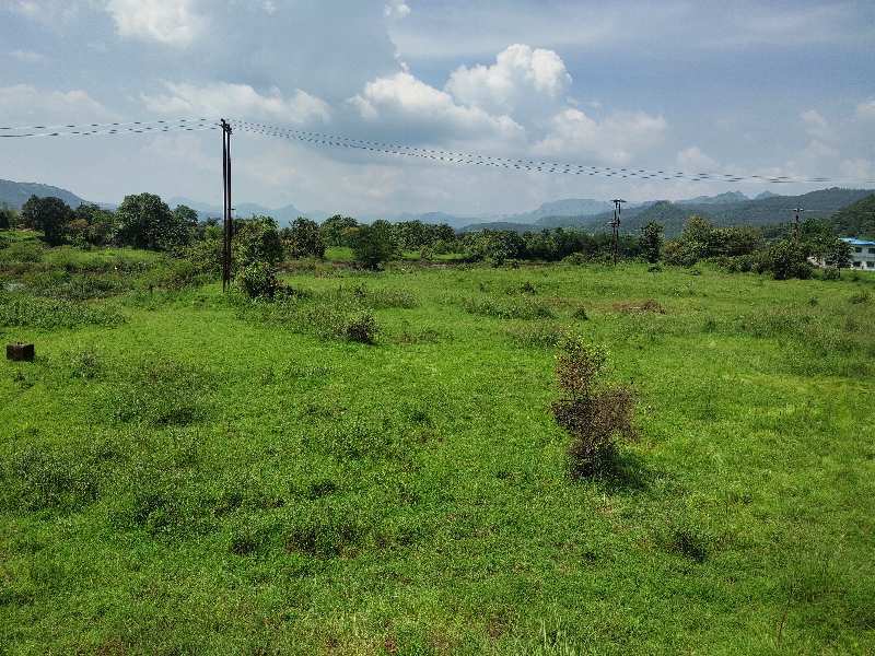 42 Guntha Commercial Lands /Inst. Land for Sale in Mahad, Raigad