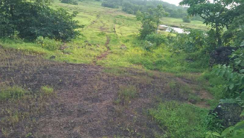 1000 Acre Agricultural/Farm Land for Sale in Ratnagiri