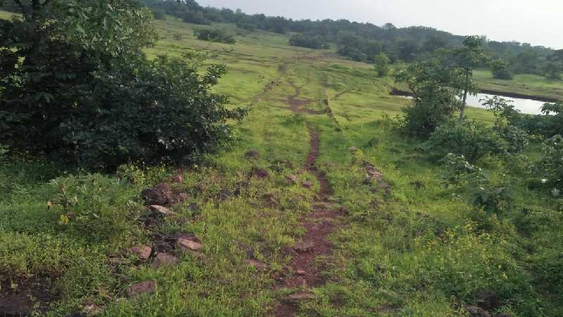 1000 Acre Agricultural/Farm Land for Sale in Ratnagiri