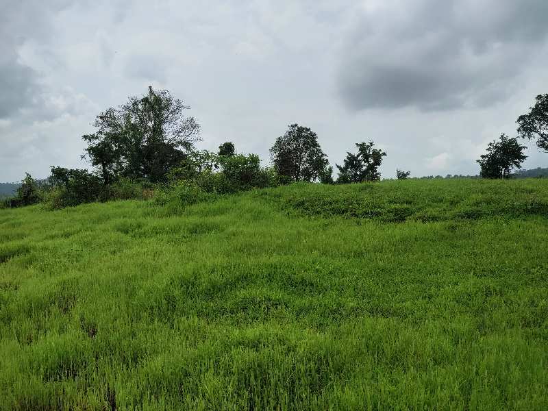 76 Guntha Agricultural/Farm Land for Sale in Raigad