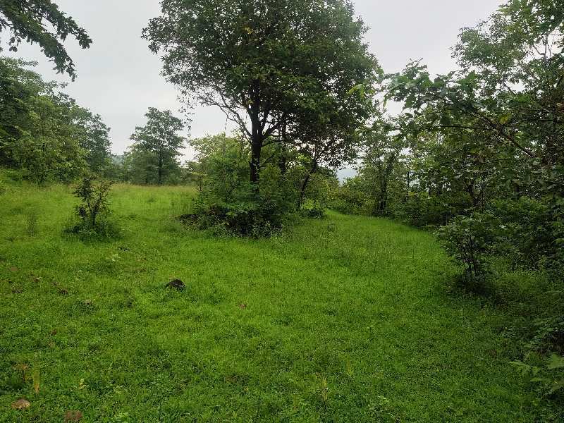 6 Acre Agricultural/Farm Land for Sale in Poladpur, Raigad