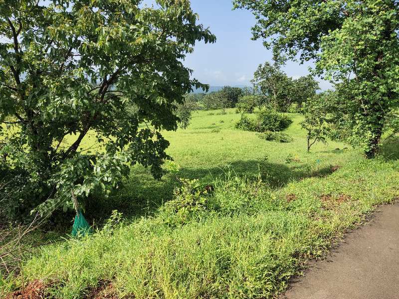 100 Acre Agricultural/Farm Land for Sale in Poladpur, Raigad