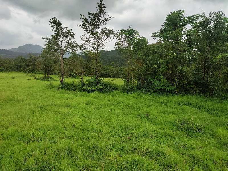 100 Acre Agricultural/Farm Land for Sale in Poladpur, Raigad