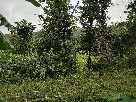 7 Acre Agricultural/Farm Land for Sale in Mahad, Raigad