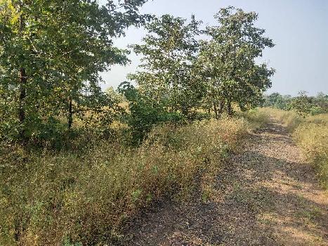 6 Acre Agricultural/Farm Land for Sale in Mahad, Raigad