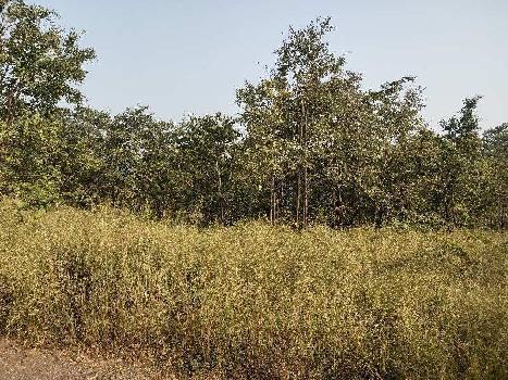3 Acre Agricultural/Farm Land for Sale in Mahad, Raigad