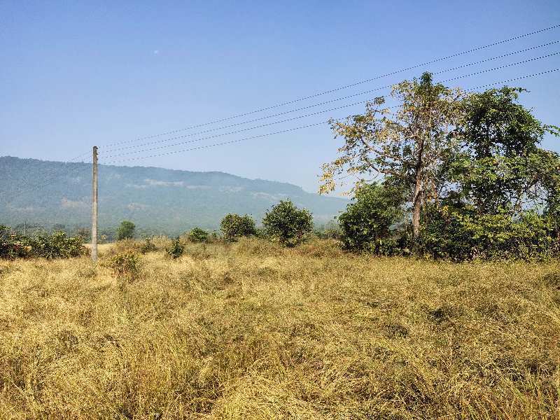 5 Acre Agricultural/Farm Land for Sale in Mahad, Raigad