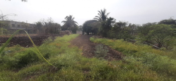 7 Ares Agricultural/Farm Land for Rent in Koregaon Bhima, Pune