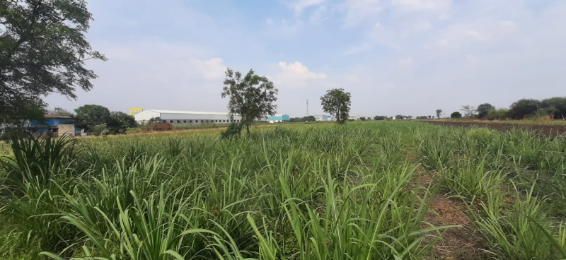 7 Ares Agricultural/Farm Land for Rent in Koregaon Bhima, Pune