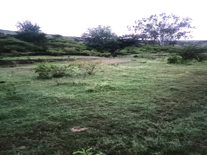 13.5 Acre Industrial Land / Plot for Sale in Washi, Pune