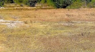 Property for sale in Mumbai Pune Highway