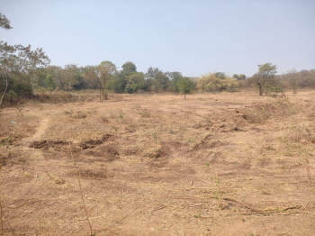 Property for sale in Ranjangaon MIDC, Pune