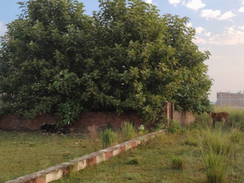 Property for sale in Kalyanpur, Kanpur