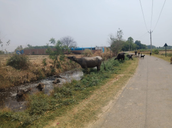 Property for sale in Sikatiya Toll Plaza, Kanpur