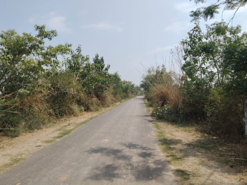 Property for sale in Sikatiya Toll Plaza, Kanpur