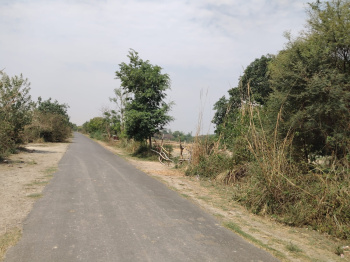 Agricultural/Farm Land for Sale in Kalyanpur, Kanpur (380 Bigha)