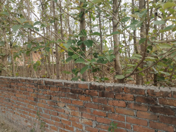 Property for sale in Tikra, Kanpur