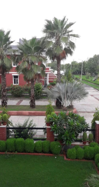 Commercial Lands /Inst. Land for Sale in Jawaharpuram, Kanpur (322 Sq. Yards)