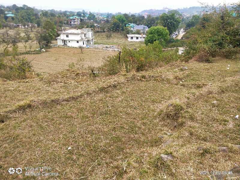 40 Marla Residential Plot for Sale in Dari, Dharamshala
