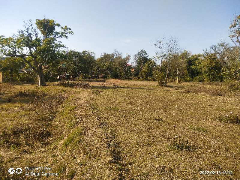 6000 Marla Commercial Lands /Inst. Land for Sale in Dharamshala