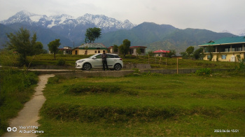 Property for sale in Ghuggar, Palampur