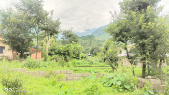 20 Marla Residential Plot for Sale in Himachal Pradesh