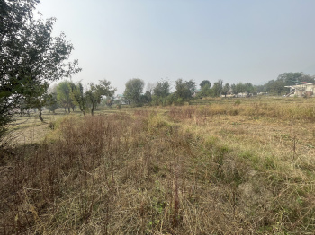 Property for sale in Barol, Dharamshala