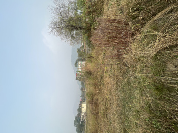 Property for sale in Barol, Dharamshala