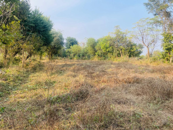 Residential Plot for Sale in Sidhpur, Dharamshala (20 Marla)