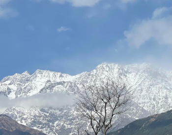 Residential Plot for Sale in Sidhbari, Dharamshala (25 Marla)