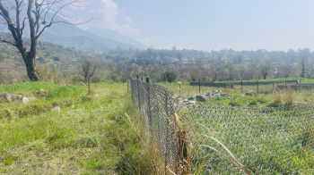 Property for sale in Rakkar, Dharamshala