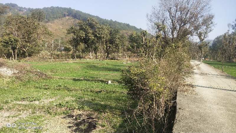 20 Marla Residential Plot for Sale in Dari, Dharamshala