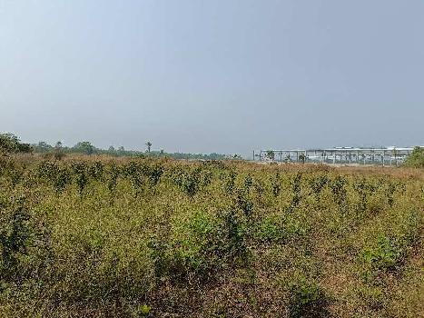 15 Acre Agricultural/Farm Land for Sale in Umbergaon, Valsad