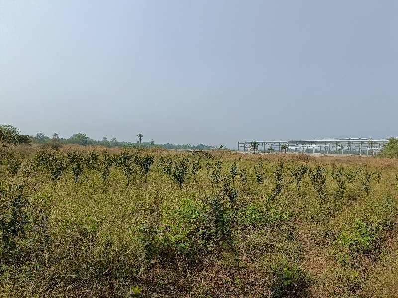 15 Acre Agricultural/Farm Land for Sale in Umbergaon, Valsad