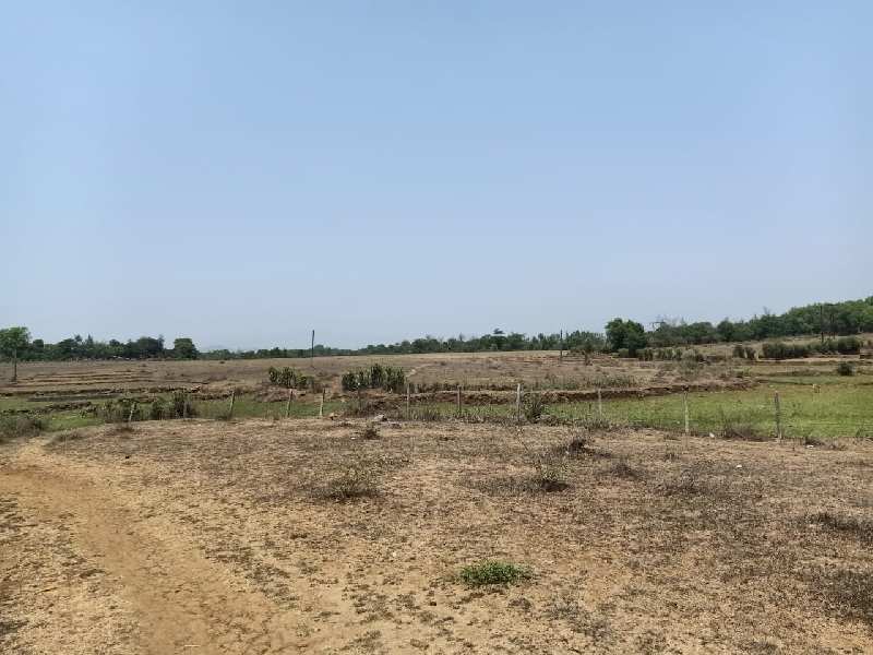 130 Bigha Industrial Land / Plot for Sale in Savli, Vadodara