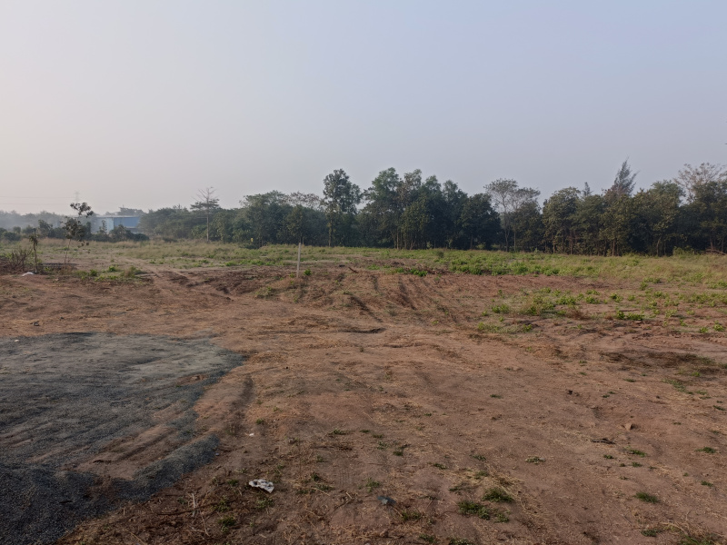 60 Acre Agricultural/Farm Land for Sale in Umbergaon, Valsad