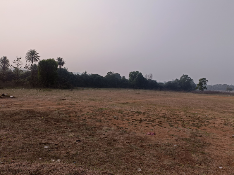 550 Acre Agricultural/Farm Land for Sale in Dahej, Bharuch