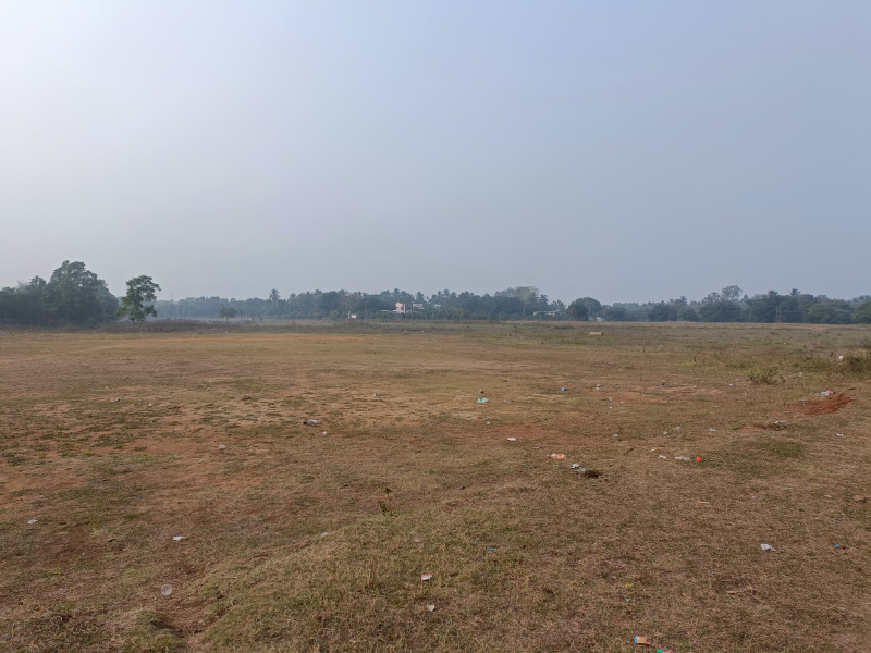 550 Acre Agricultural/Farm Land for Sale in Dahej, Bharuch