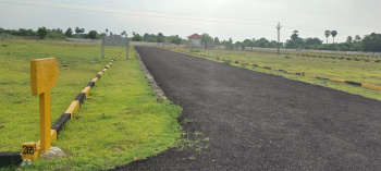 2250 Acre Agricultural/Farm Land for Sale in Limbdi, Surendranagar
