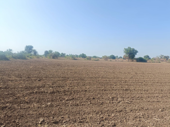 Agricultural/Farm Land for Sale in Jambusar, Bharuch (30 Acre)
