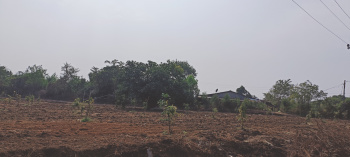 Industrial Land / Plot for Sale in 3rd Phase GIDC, Vapi (3267 Sq.ft.)