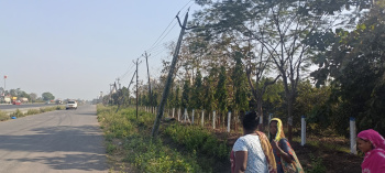 Industrial Land / Plot for Sale in Unn, Navsari (120 Bigha)
