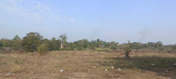 Agricultural/Farm Land for Sale in Panoli GIDC, Bharuch (300 Bigha)