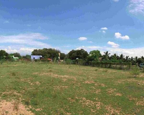 109 Acre Agricultural/Farm Land For Sale In Bhilad, Vapi