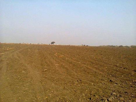 Agricultural/Farm Land for Sale in Pardi, Vapi (100 Acre)